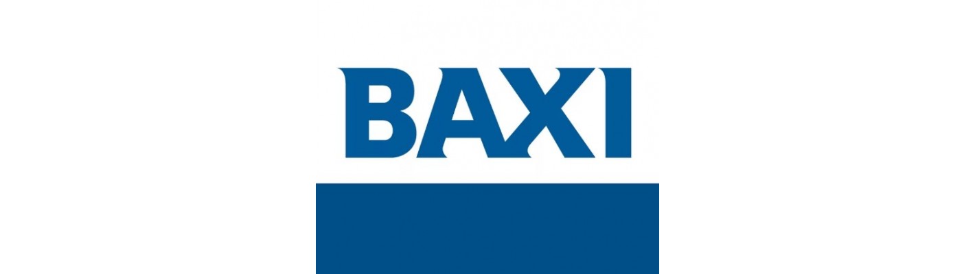 BAXI: варианты организации систем дымоотведения